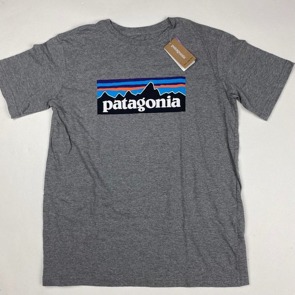 Patagonia Other - Patagonia P-6 Logo Organic Cotton T Shirt Boy's Size XXL 16-18 Gray Heather